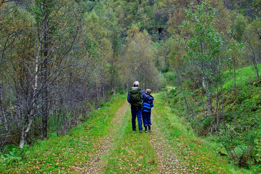 Mann og gutt går tur på en skogsveg. Foto.