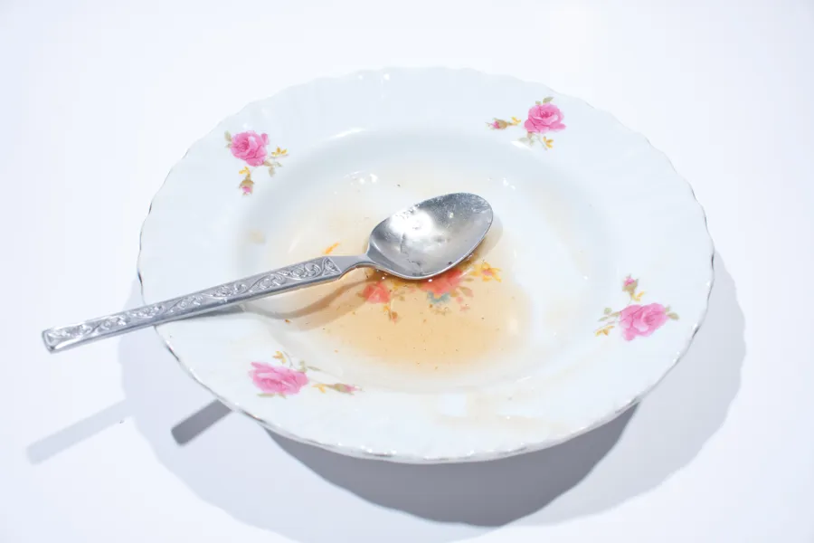 Illustrasjonsfoto av tom matskål. Foto.
